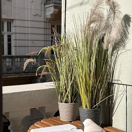 Apartament Leoclassic With Balcony In Center