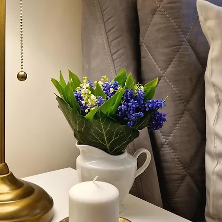 Apartment Leoclassic With Balcony In Center Lviv