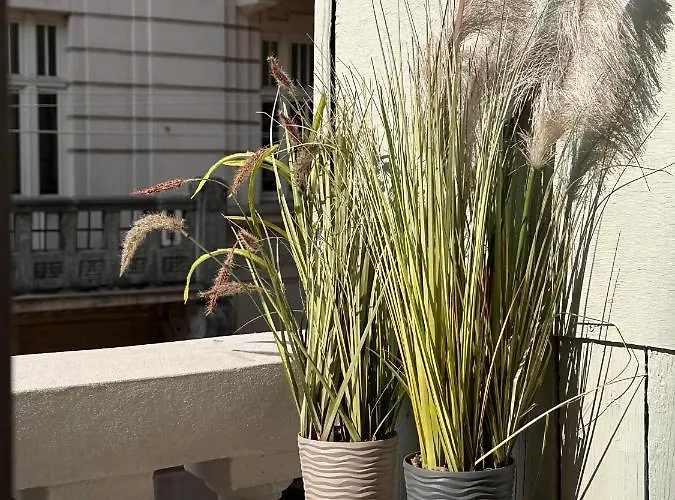 Апартаменты Leoclassic With Balcony In Center